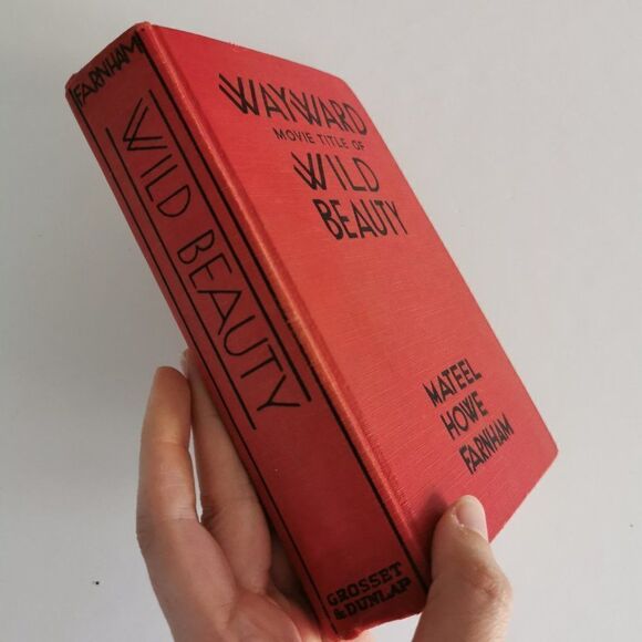 1930 Wayward Book Farnham Movie Title Wild Beauty Pre-Code Paramount Red Book - Picture 2 of 11